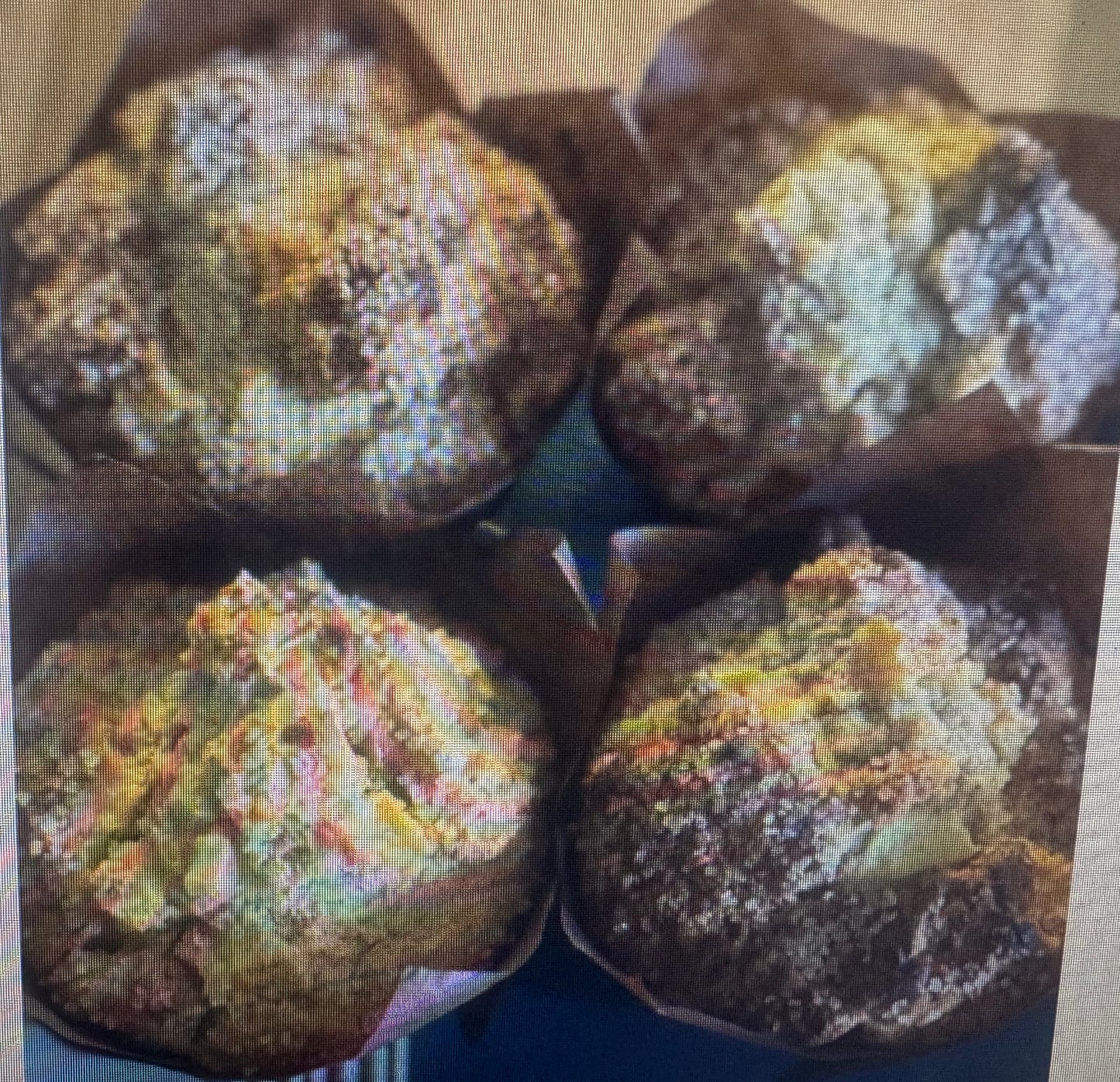 Gluten-Free Jumbo Apple Cinnamon Muffins - 4 Pack