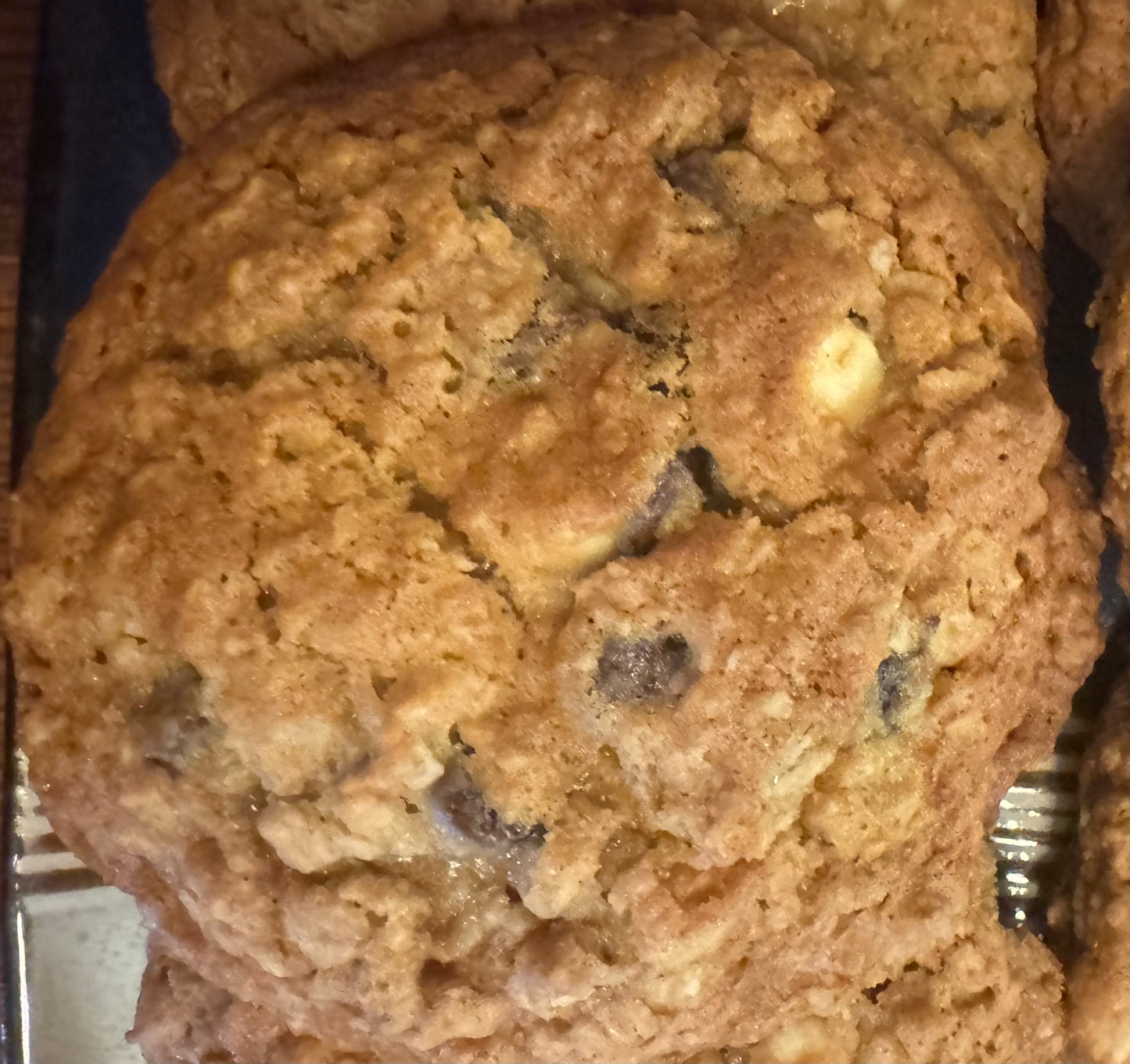 Irresistable Jumbo Cranberry Oatmeal Chocolate Chip Cookies!