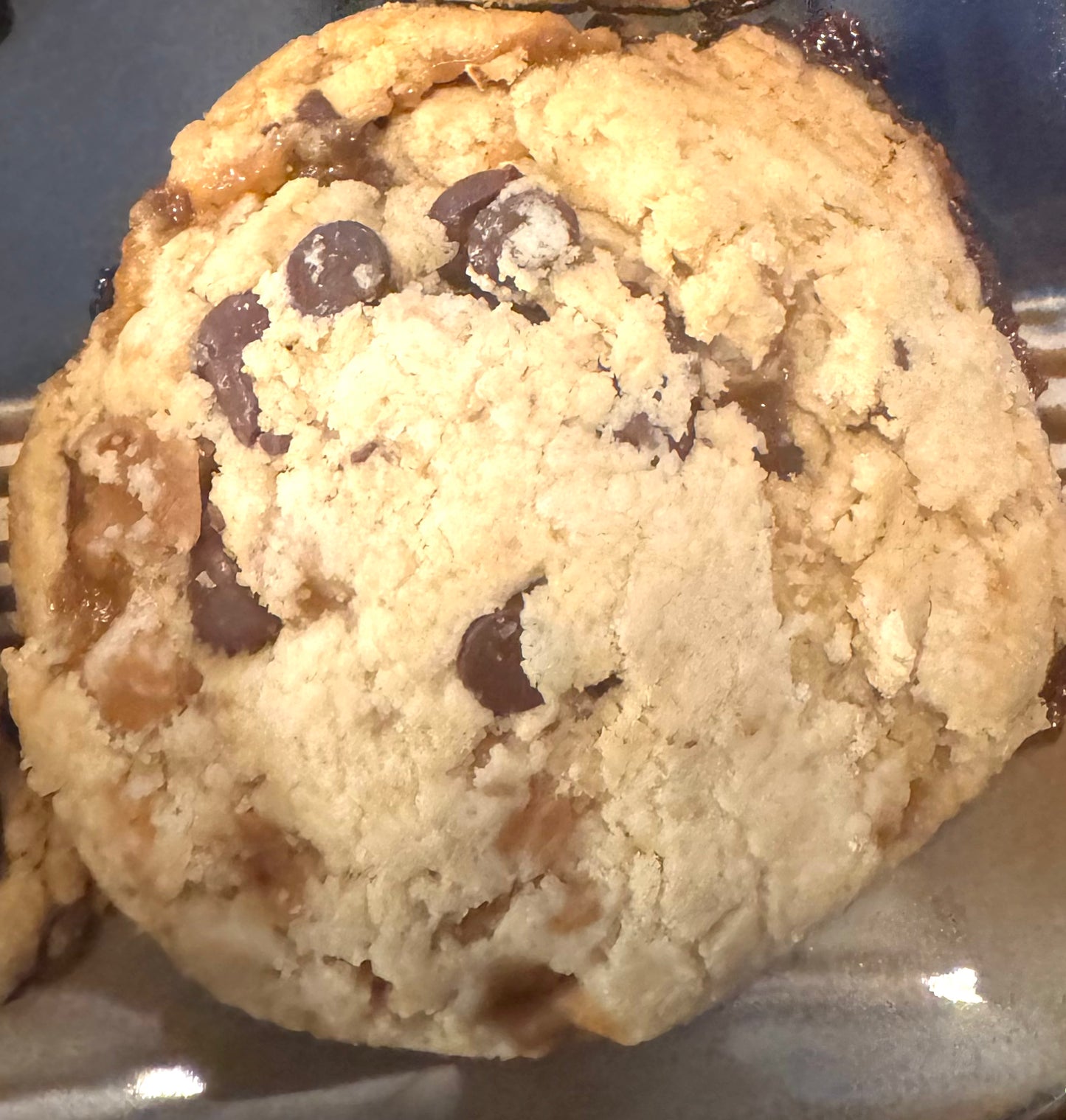 Jumbo Salted Carmel Cookies - Pack of 6