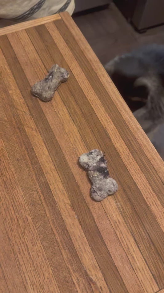 Blueberry Dog Treats